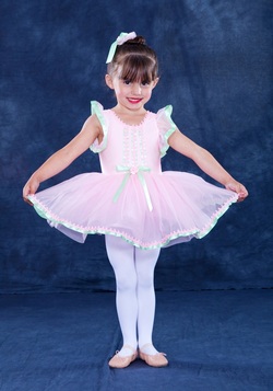 Young ballerina in a pink ballet tutu training in dance class